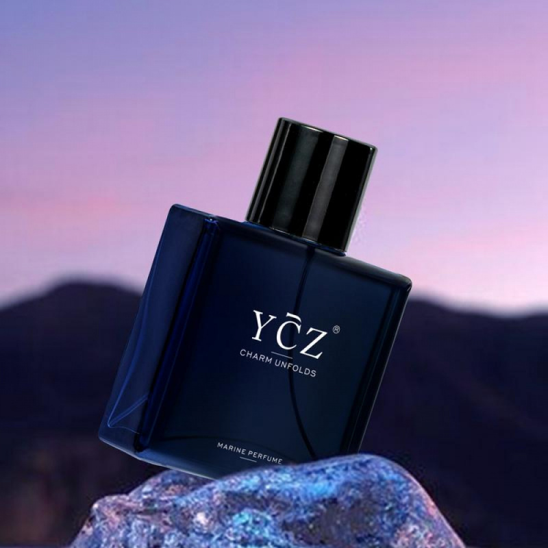 WeiLan Men Perfume 50ml Long L - Perfume Alcohol Fragrance recension och pris