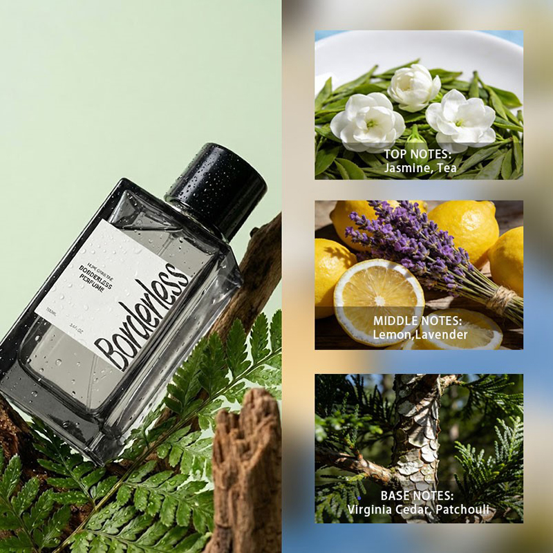 Luxury Borderless Men Perfume  - Perfume Jasmine Fragrance recension och pris